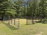 1212 Elvin Weeks Rd - Photo 3