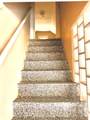 2597 Henderson St - Photo 16
