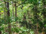 429 Arendall Rd - Photo 25