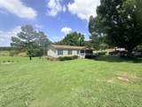 6719 Chestnut Bluff Maury City Rd Rd - Photo 4