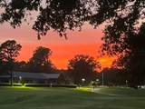 10211 Carnegie Club Dr - Photo 40
