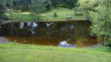 120 Craig Rd - Photo 29