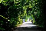6960 Country Rd - Photo 33