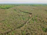  Connie Smith Rd - Photo 14