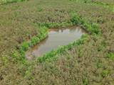  Connie Smith Rd - Photo 17