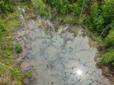  Connie Smith Rd - Photo 22
