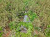  Connie Smith Rd - Photo 24