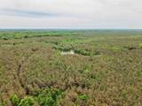  Connie Smith Rd - Photo 27