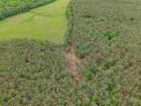  Connie Smith Rd - Photo 5