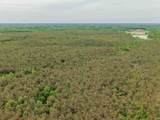  Connie Smith Rd - Photo 6