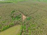  Connie Smith Rd - Photo 7