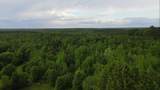 00 Hines Gin Rd - Photo 7