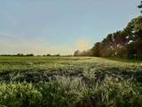 TRACT 1 Karcher Rd - Photo 9