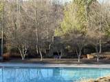 1101 Tree Top Way - Photo 17