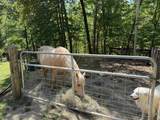 1212 Elvin Weeks Rd - Photo 24