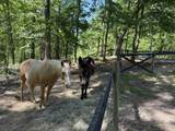 1212 Elvin Weeks Rd - Photo 26