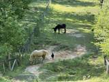 1212 Elvin Weeks Rd - Photo 28