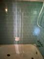 1484 Dempster Rd - Photo 5