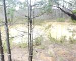 11381 Macon Rd - Photo 10