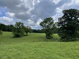 2245 Big Ivy Rd - Photo 28