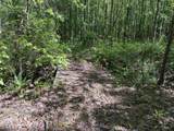 1212 Elvin Weeks Rd - Photo 34
