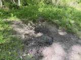 1212 Elvin Weeks Rd - Photo 35