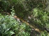1212 Elvin Weeks Rd - Photo 36