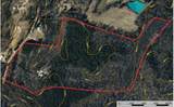 1212 Elvin Weeks Rd - Photo 39