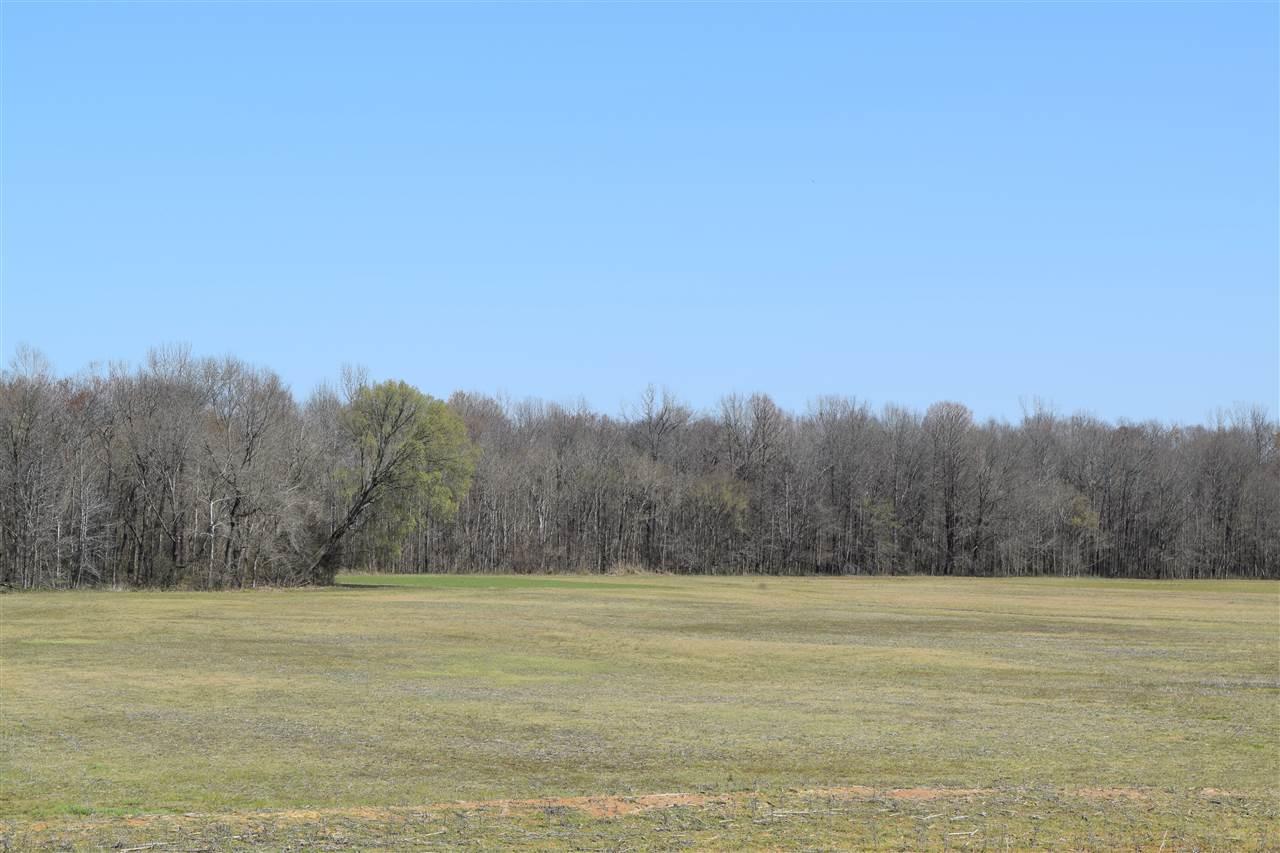 2000 Nuckolls Rd - Photo 1