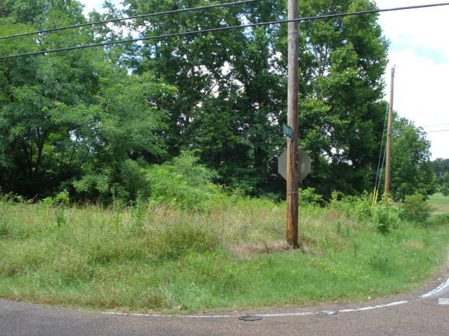 9420 Pleasant Ridge Rd - Photo 1