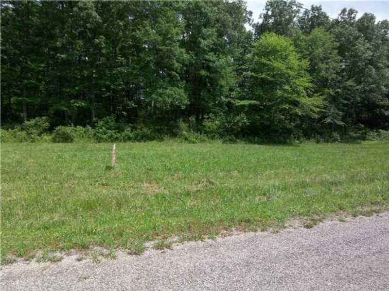 11 Ross Branch Estates Rd - Photo 1