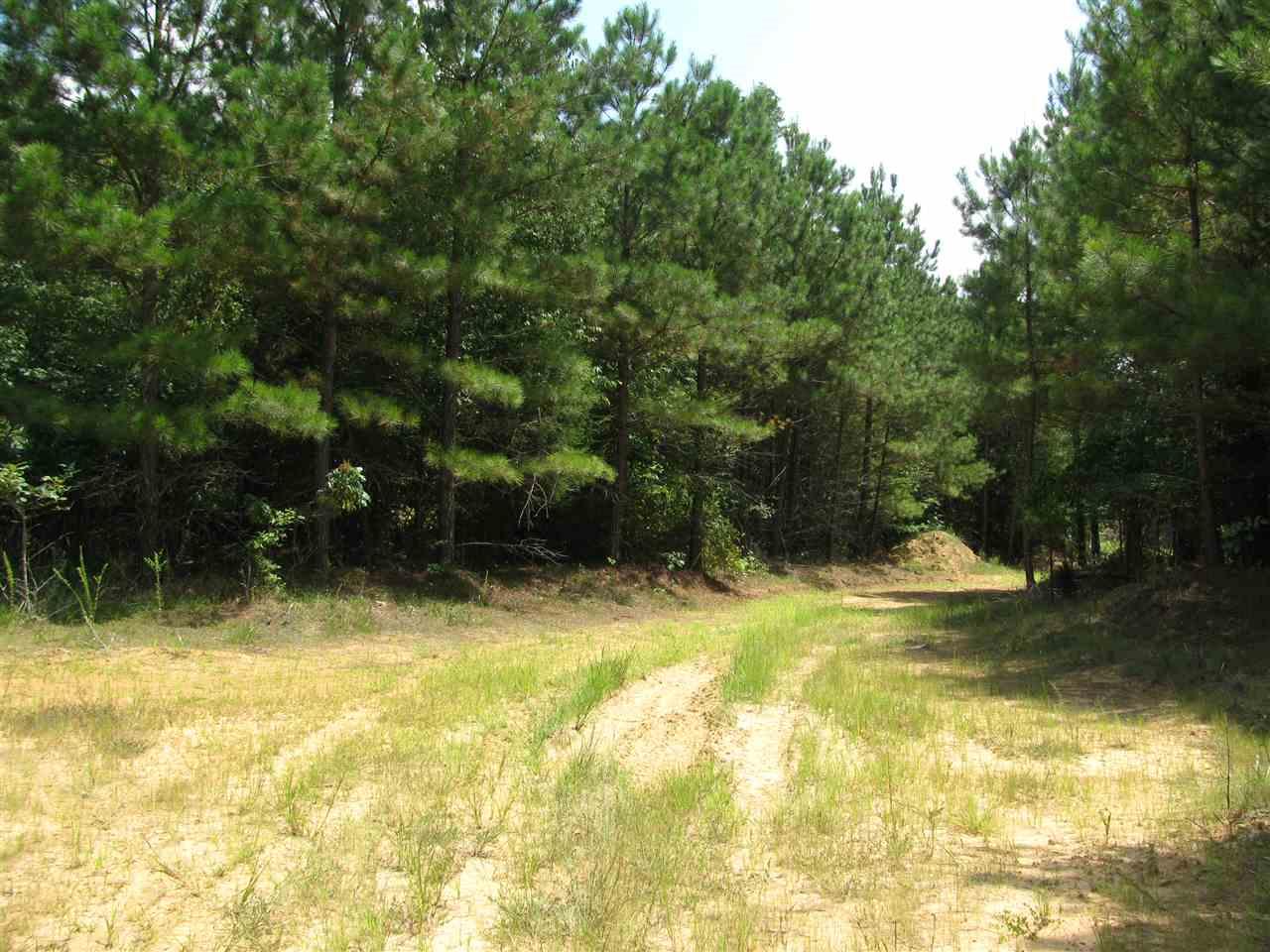 1 Smith Fork Rd - Photo 1