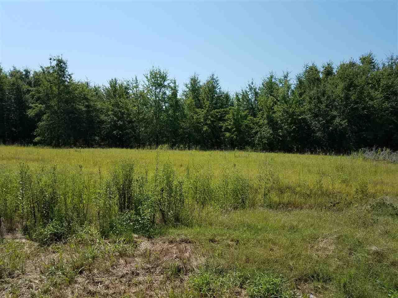 5739 Lamb Rd - Photo 1