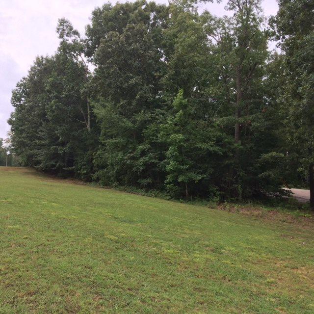 LOT 424 Dunhill Ct - Photo 1