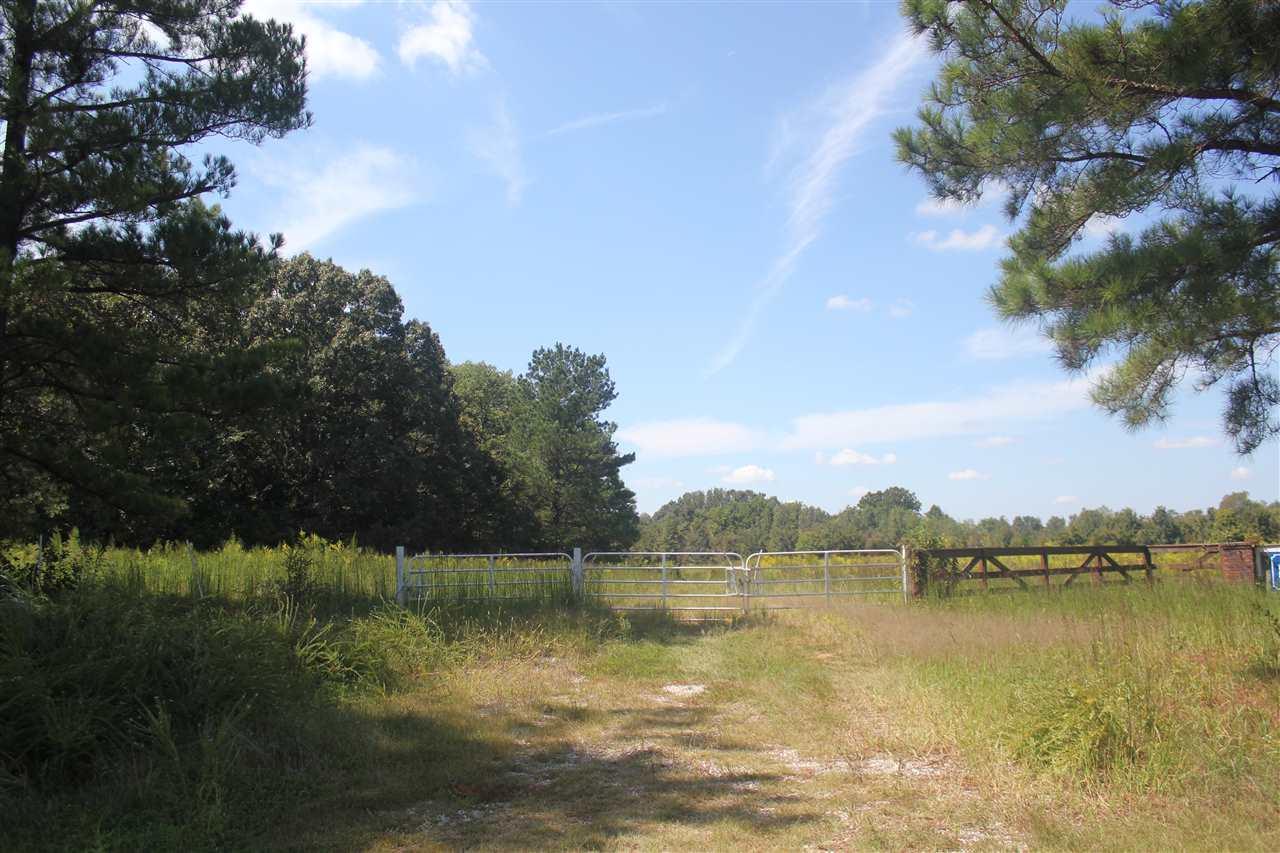 137 Valentine Rd - Photo 1