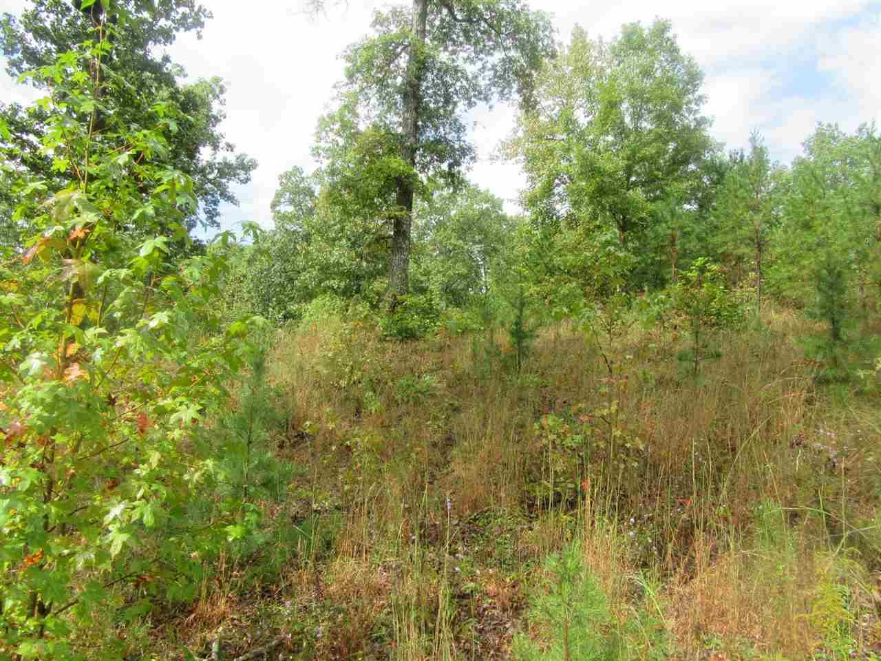 Pickwick Ridge Resort Rd - Photo 1