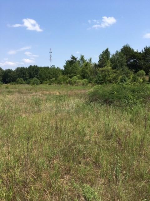 7268 Hwy 178 Hwy - Photo 1