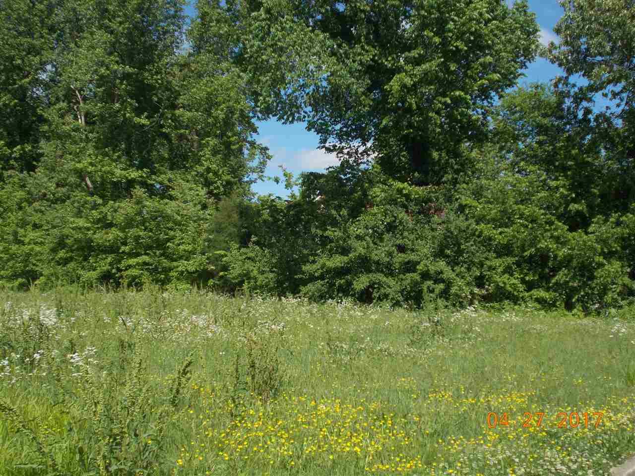 LOT 38 Shady Creek Cv - Photo 1
