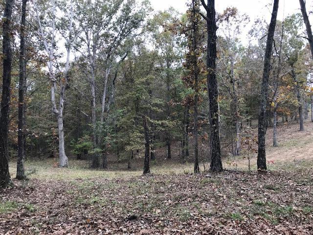 0 Sandbar Ln - Photo 1