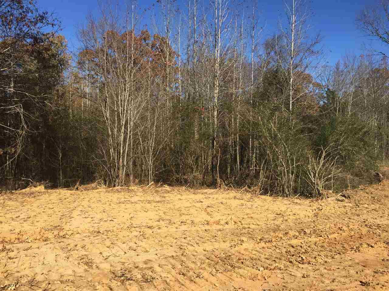 LOT 12 Harvest Rd - Photo 1