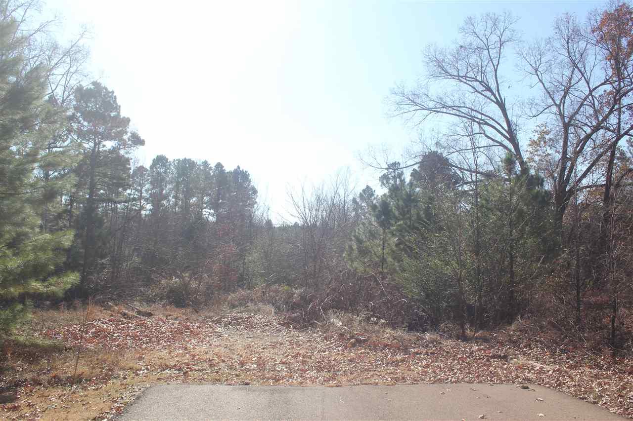 0 Oak Manor Dr - Photo 1