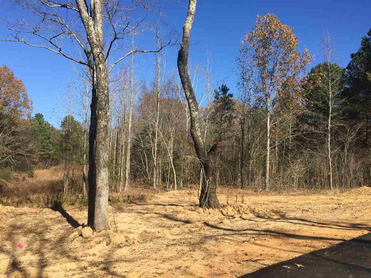 LOT 14 Harvest Rd - Photo 1