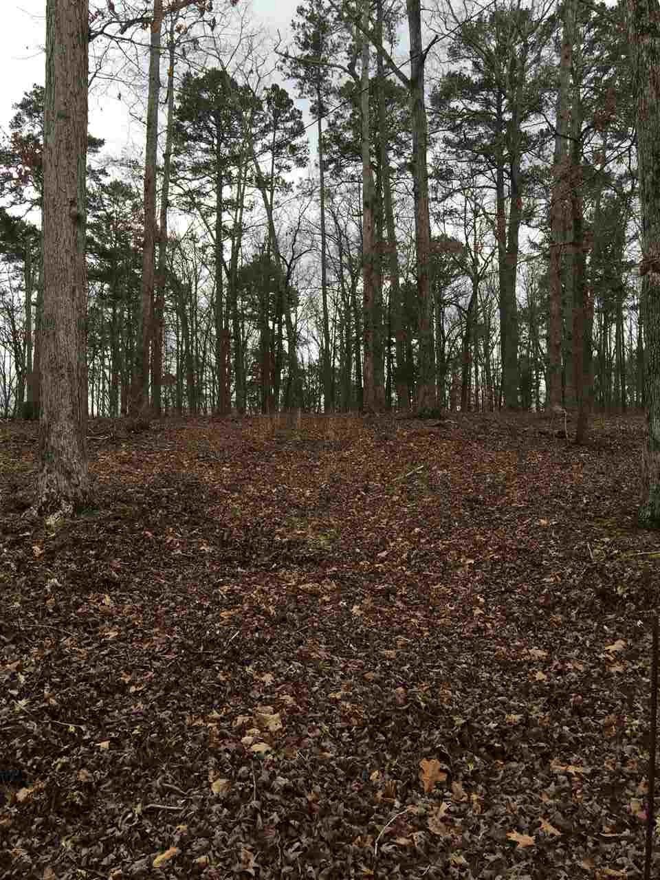 Springbrook Dr - Photo 1