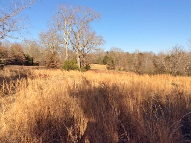 1918 Pocahontas Rd - Photo 1