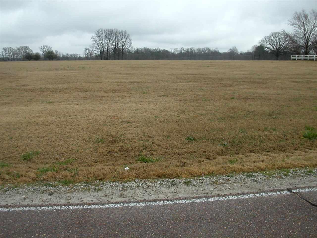 00 Dawson Rd - Photo 1
