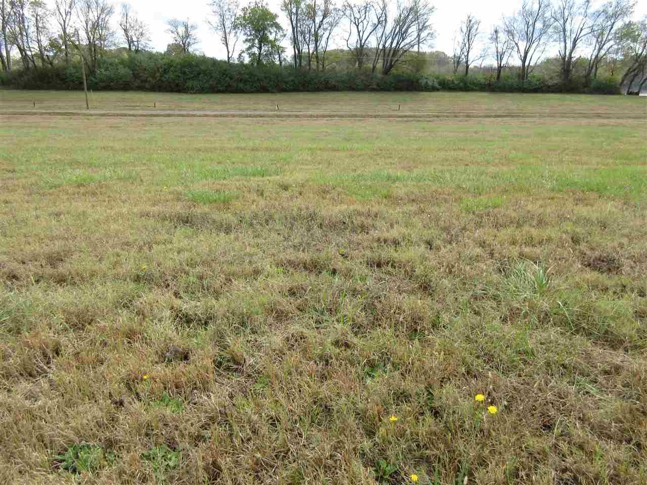 114 Catfish Ln - Photo 1