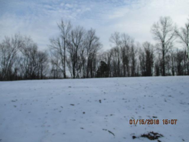 0 Poplar Grove Cemetery Rd - Photo 1