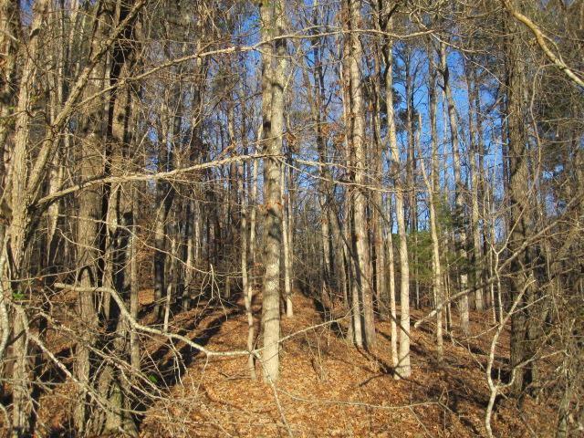 5572 Pisgah Road Rd - Photo 1