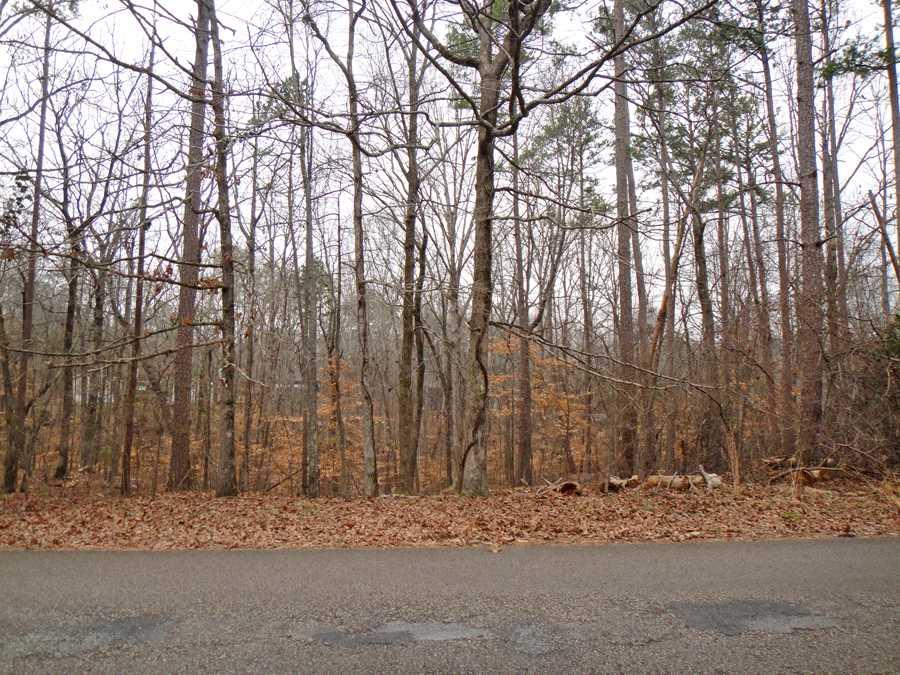 52 Island View Dr - Photo 1