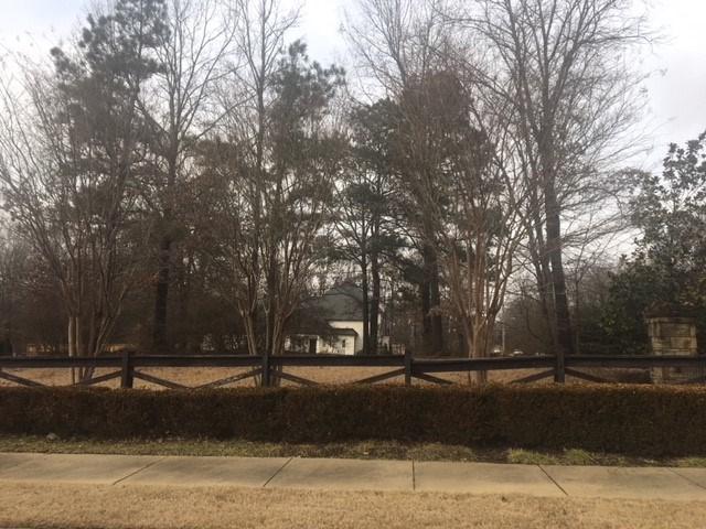 9076 Fern Brook Dr - Photo 1